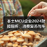 本土MCU企业2024财报解析:消费复苏与车规困局 本土MCU企业2024财报解析:消费复苏与车规困局