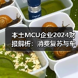 本土MCU企业2024财报解析:消费复苏与车规困局 本土MCU企业2024财报解析:消费复苏与车规困局