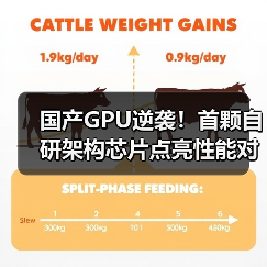 国产GPU逆袭!首颗自研架构芯片点亮性能对标国际 国产GPU逆袭!首颗自研架构芯片点亮性能对标国际