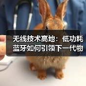 无线技术高地：低功耗蓝牙如何引领下一代物联网？