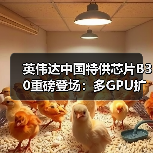 英伟达中国特供芯片B30重磅登场：多GPU扩展能否颠覆市场？