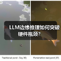 LLM边缘推理如何突破硬件瓶颈？