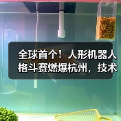 全球首个!人形机器人格斗赛燃爆杭州,技术对决看点十足 全球首个!人形机器人格斗赛燃爆杭州,技术对决看点十足