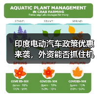 印度电动汽车政策优惠来袭,外资能否抓住机遇? 印度电动汽车政策优惠来袭,外资能否抓住机遇?