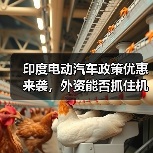 印度电动汽车政策优惠来袭,外资能否抓住机遇? 印度电动汽车政策优惠来袭,外资能否抓住机遇?