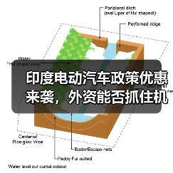 印度电动汽车政策优惠来袭,外资能否抓住机遇? 印度电动汽车政策优惠来袭,外资能否抓住机遇?