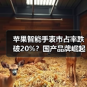 苹果智能手表市占率跌破20%?国产品牌崛起冲击领头羊地位 苹果智能手表市占率跌破20%?国产品牌崛起冲击领头羊地位