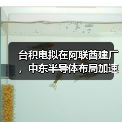 台积电拟在阿联酋建厂,中东半导体布局加速? 台积电拟在阿联酋建厂,中东半导体布局加速?