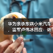 华为余承东讽小米汽车,雷军卢伟冰回应:诋毁是仰望? 华为余承东讽小米汽车,雷军卢伟冰回应:诋毁是仰望?