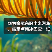 华为余承东讽小米汽车,雷军卢伟冰回应:诋毁是仰望? 华为余承东讽小米汽车,雷军卢伟冰回应:诋毁是仰望?