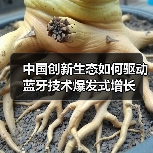 中国创新生态如何驱动蓝牙技术爆发式增长 中国创新生态如何驱动蓝牙技术爆发式增长