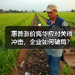 惠普涨价离华应对关税冲击,企业如何破局? 惠普涨价离华应对关税冲击,企业如何破局?