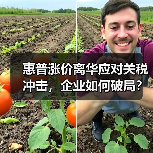惠普涨价离华应对关税冲击,企业如何破局? 惠普涨价离华应对关税冲击,企业如何破局?