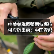 中美关税调整后特斯拉供应链重启：中国零部件进口计划启动