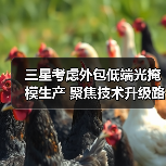三星考虑外包低端光掩模生产 聚焦技术升级路线 三星考虑外包低端光掩模生产 聚焦技术升级路线