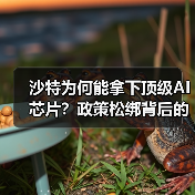 沙特为何能拿下顶级AI芯片?政策松绑背后的科技博弈 沙特为何能拿下顶级AI芯片?政策松绑背后的科技博弈