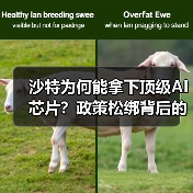 沙特为何能拿下顶级AI芯片?政策松绑背后的科技博弈 沙特为何能拿下顶级AI芯片?政策松绑背后的科技博弈