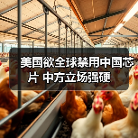 美国欲全球禁用中国芯片 中方立场强硬 美国欲全球禁用中国芯片 中方立场强硬