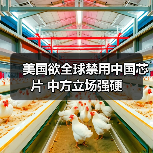 美国欲全球禁用中国芯片 中方立场强硬 美国欲全球禁用中国芯片 中方立场强硬