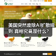 美国突然废除AI扩散规则 真相究竟是什么? 美国突然废除AI扩散规则 真相究竟是什么?