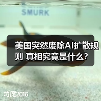 美国突然废除AI扩散规则 真相究竟是什么? 美国突然废除AI扩散规则 真相究竟是什么?