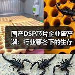 国产DSP芯片企业破产潮:行业寒冬下的生存挑战 国产DSP芯片企业破产潮:行业寒冬下的生存挑战