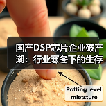 国产DSP芯片企业破产潮:行业寒冬下的生存挑战 国产DSP芯片企业破产潮:行业寒冬下的生存挑战