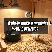 中美关税调整后剩余10%将如何影响？