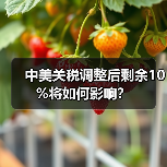 中美关税调整后剩余10%将如何影响？