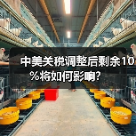 中美关税调整后剩余10%将如何影响？