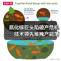 氮化镓巨头陷破产危机:技术领先难掩产能落差 氮化镓巨头陷破产危机:技术领先难掩产能落差