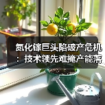 氮化镓巨头陷破产危机:技术领先难掩产能落差 氮化镓巨头陷破产危机:技术领先难掩产能落差