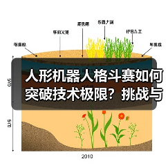 人形机器人格斗赛如何突破技术极限？挑战与未来展望
