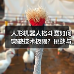 人形机器人格斗赛如何突破技术极限？挑战与未来展望