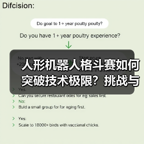 人形机器人格斗赛如何突破技术极限？挑战与未来展望