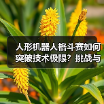 人形机器人格斗赛如何突破技术极限？挑战与未来展望