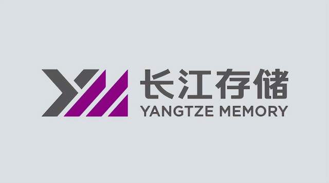 芯火三十年：破局而立（2022－今天）